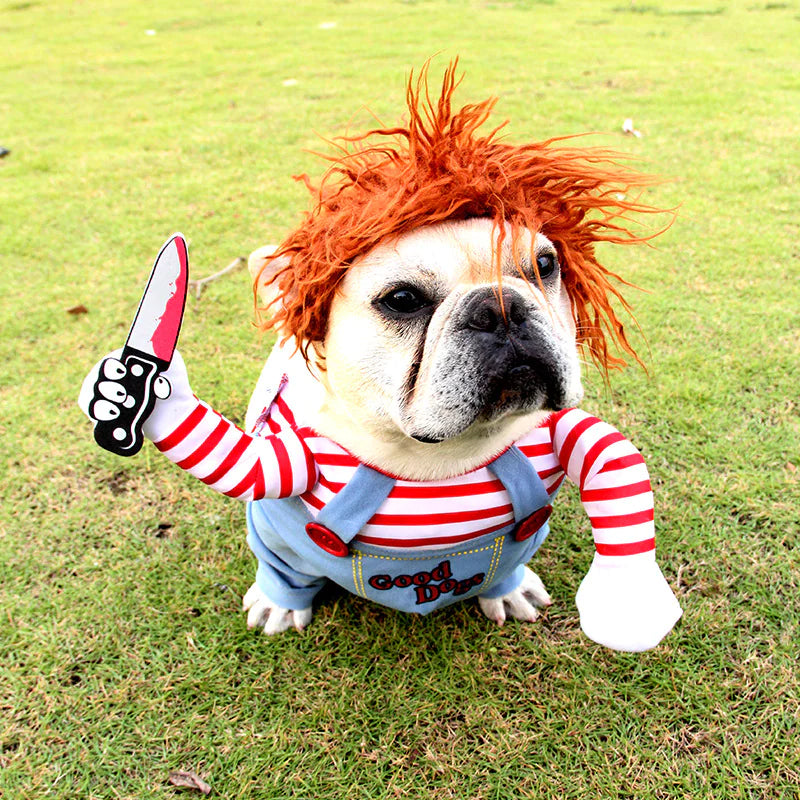 Pet Doll Costume