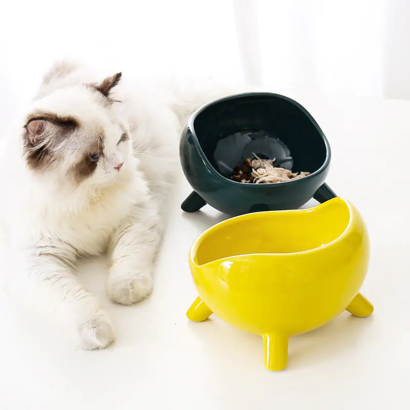 Cuenco de Cerámica Elevado para Gato