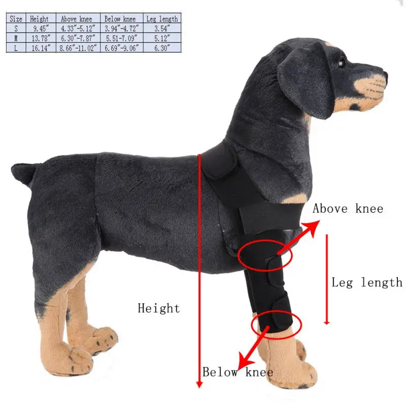 Comfortable and adjustable canine splint for pets