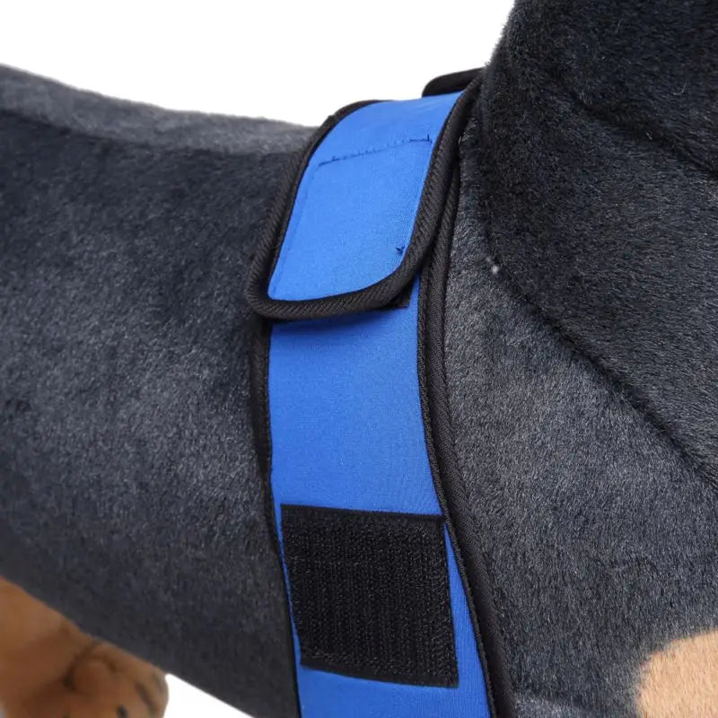 Comfortable and adjustable canine splint for pets