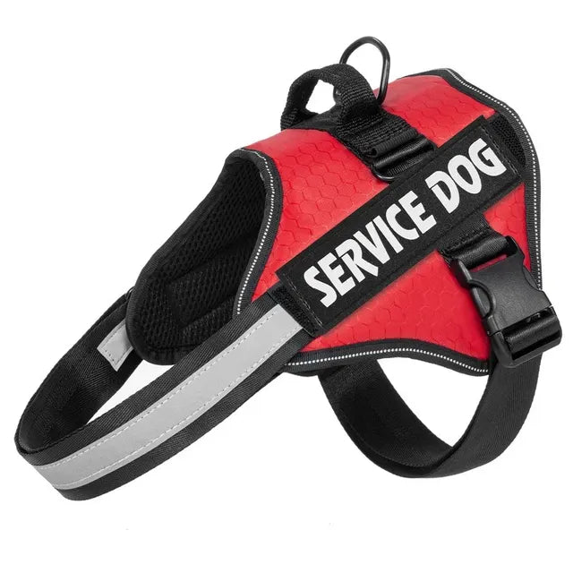 Adjustable harness for large dogs