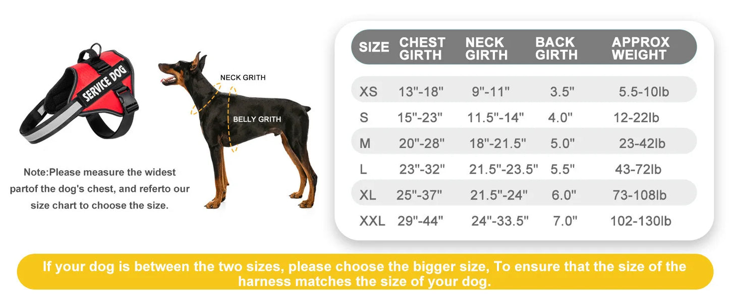 Adjustable harness for large dogs
