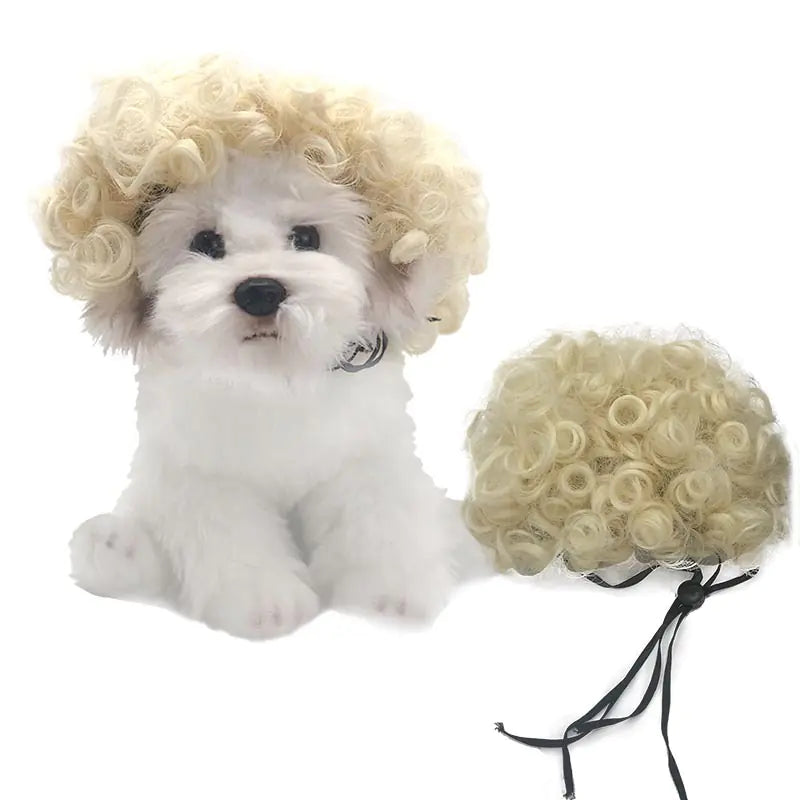 Halloween wigs for dogs and cats