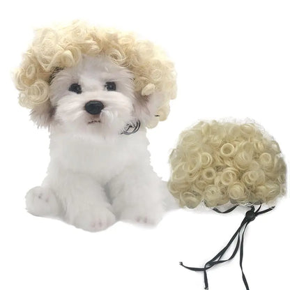 Halloween wigs for dogs and cats