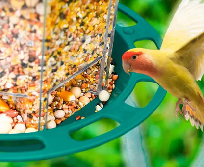 Automatic bird feeder ideal for outdoors