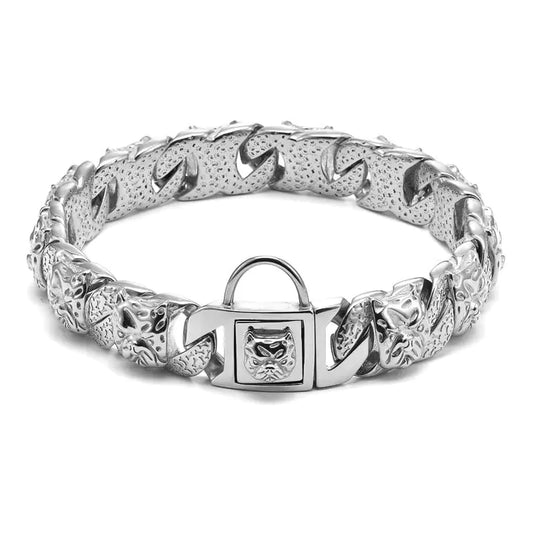 Stainless steel and titanium dog collar