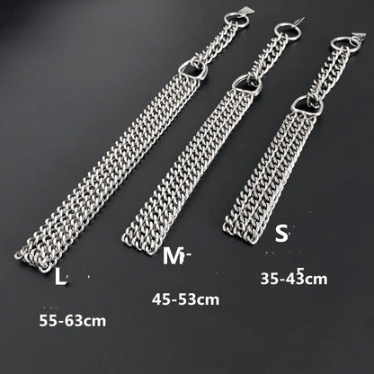 Double chain dog training collar