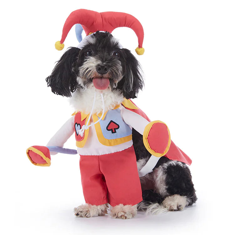 Halloween Costumes for Dogs