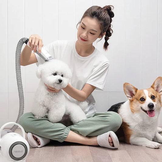Pet hair clipper for home use