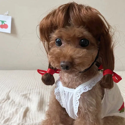 Halloween wigs for dogs and cats