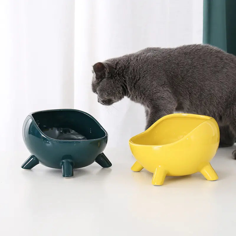 Cuenco de Cerámica Elevado para Gato