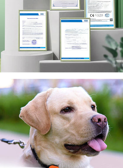 Rechargeable Ultrasonic Anti-Bark Dog Collar