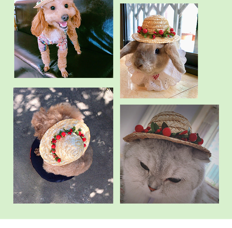 Summer Pet Hat