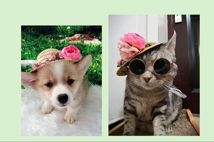 Summer Pet Hat