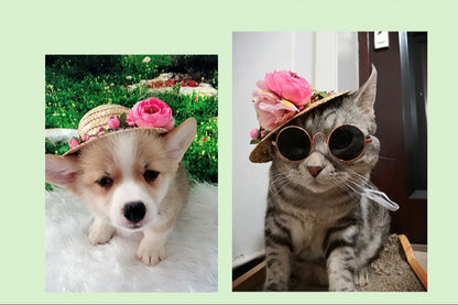 Summer Pet Hat