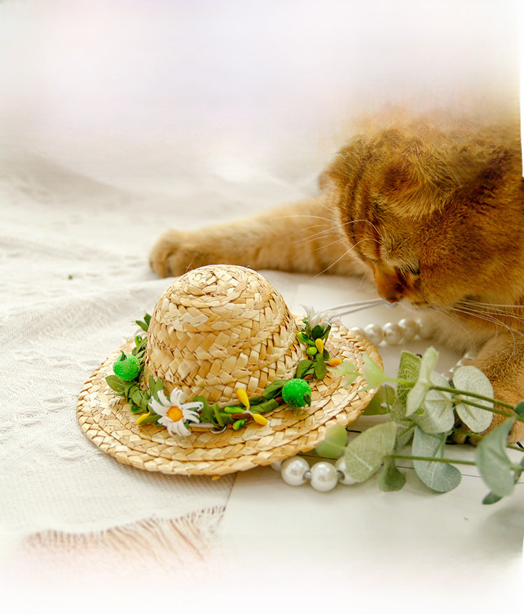 Summer Pet Hat