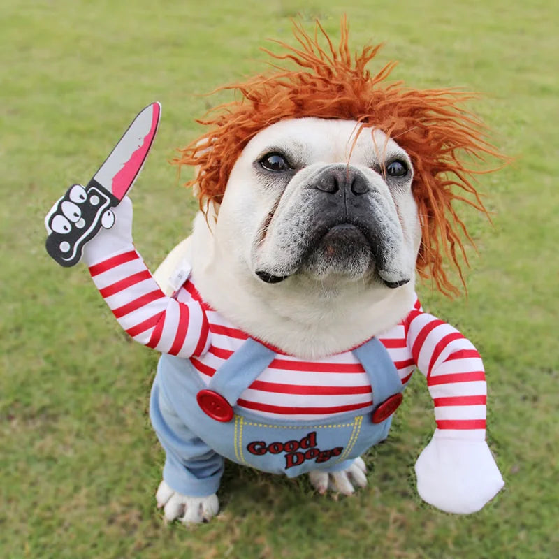 Pet Doll Costume