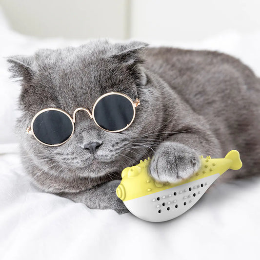 Dental toy with brush and teether for cats