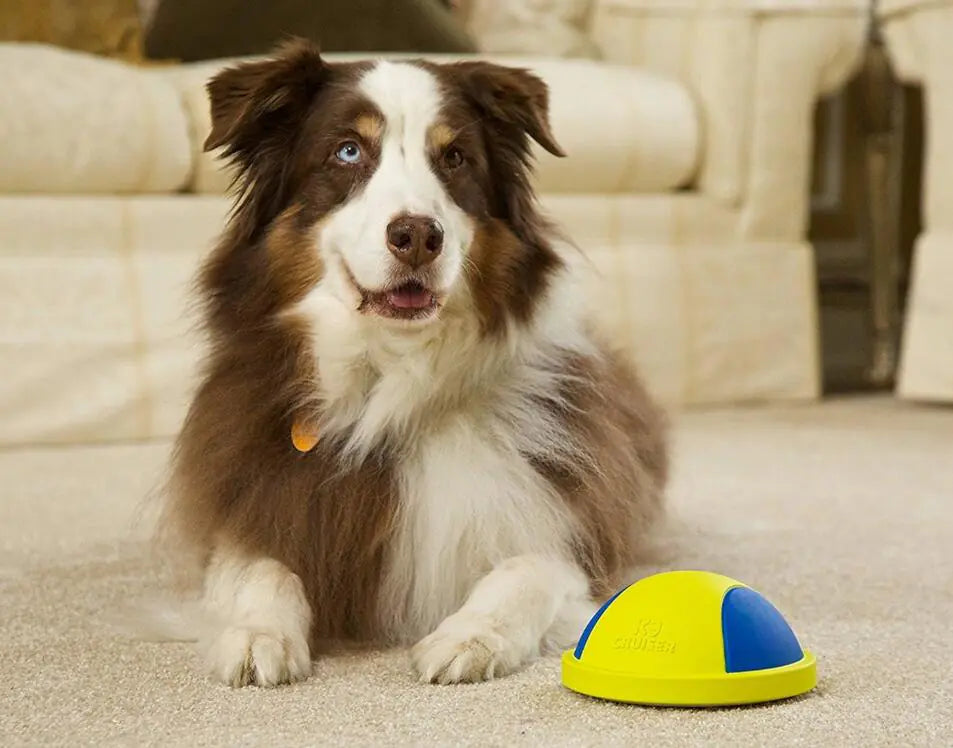 Dog Chew and Toss Toy