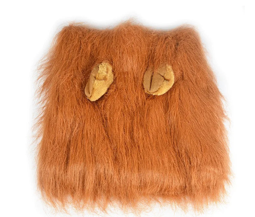 Lion Hair Costume for Dogs
