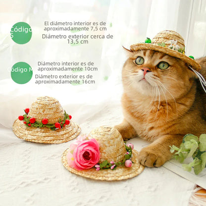 Summer Pet Hat