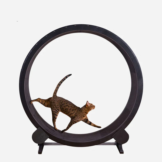 Exercise wheel toy for active cats