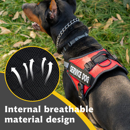 Adjustable harness for large dogs