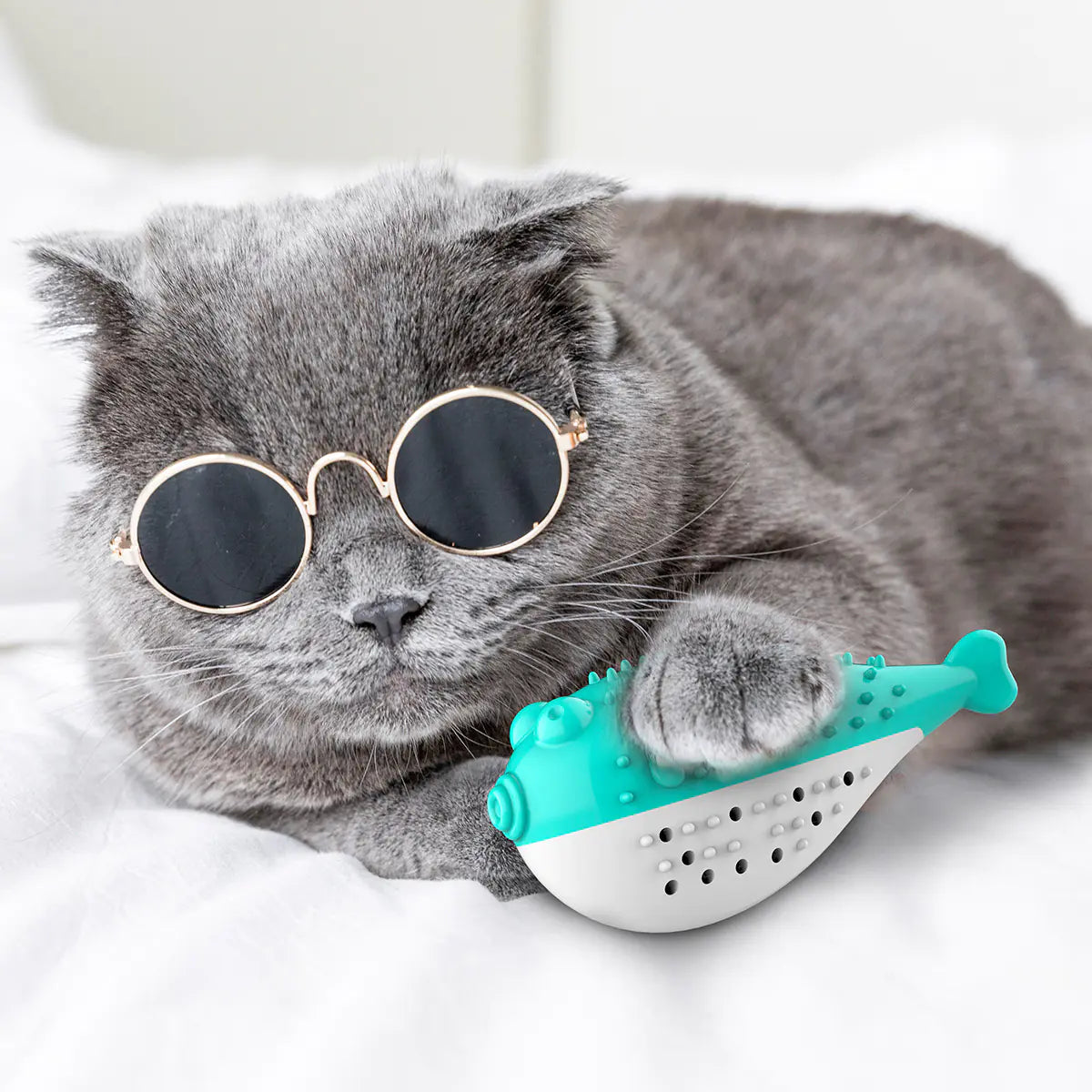 Dental toy with brush and teether for cats