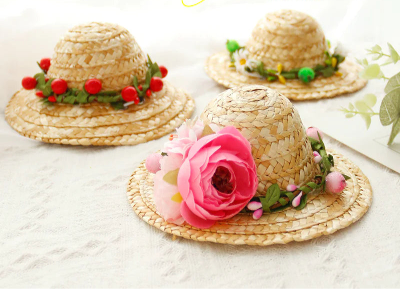 Summer Pet Hat