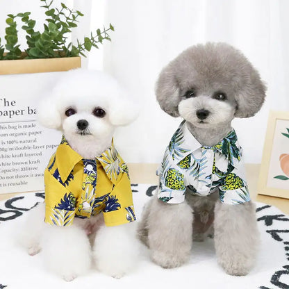 Lightweight Summer Clothes for Dogs