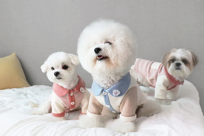 Small Puppy Pet Costume
