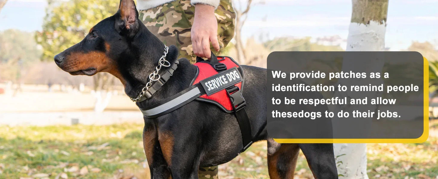 Adjustable harness for large dogs