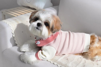Small Puppy Pet Costume