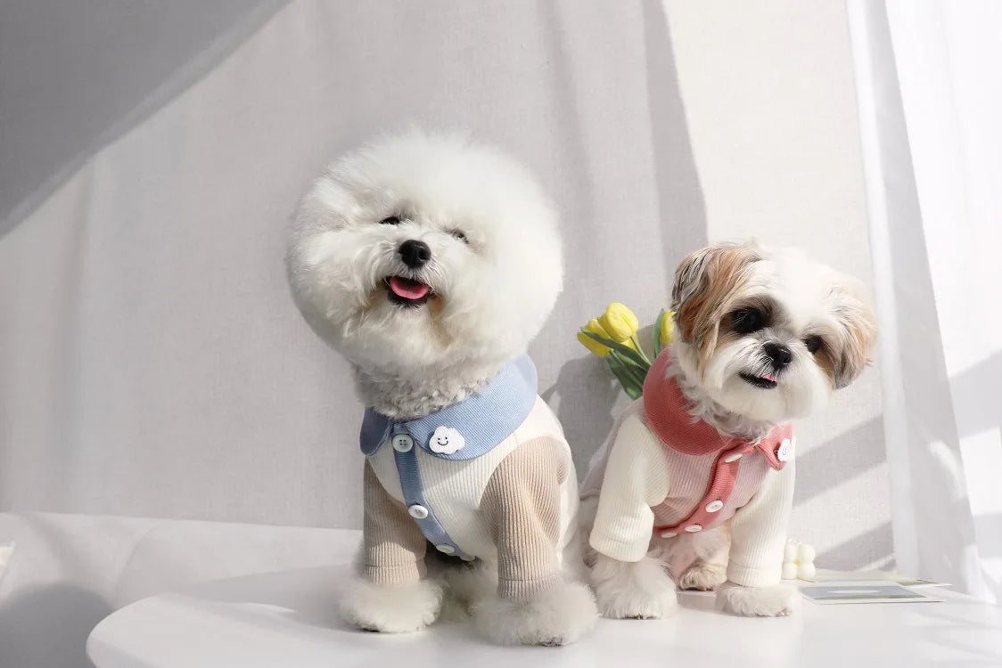 Small Puppy Pet Costume