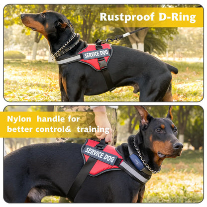 Adjustable harness for large dogs