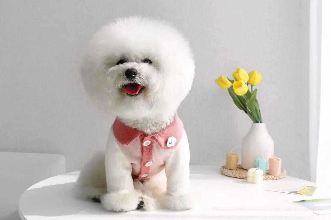 Small Puppy Pet Costume