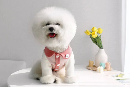 Small Puppy Pet Costume