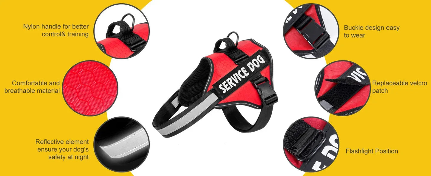 Adjustable harness for large dogs