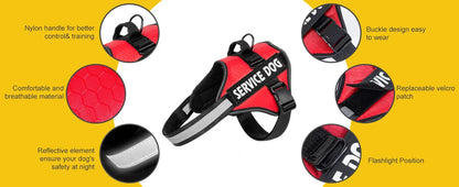Adjustable harness for large dogs
