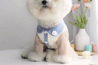 Small Puppy Pet Costume