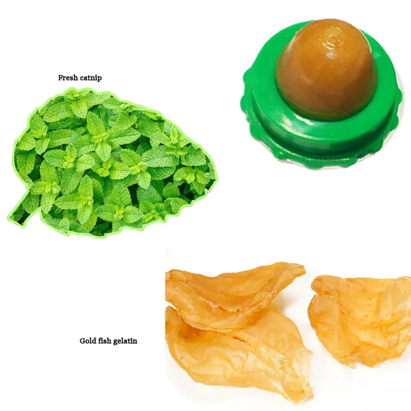 Treats and Snacks for Cats