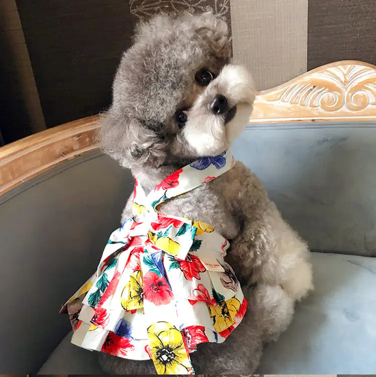 Printed Clothing 100% Cotton for Teddy Dogs and Cats