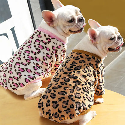 Warm Puppy Jacket