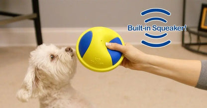Dog Chew and Toss Toy