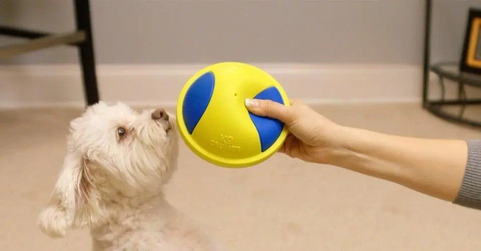 Juguete para Morder y Lanzar para Perros