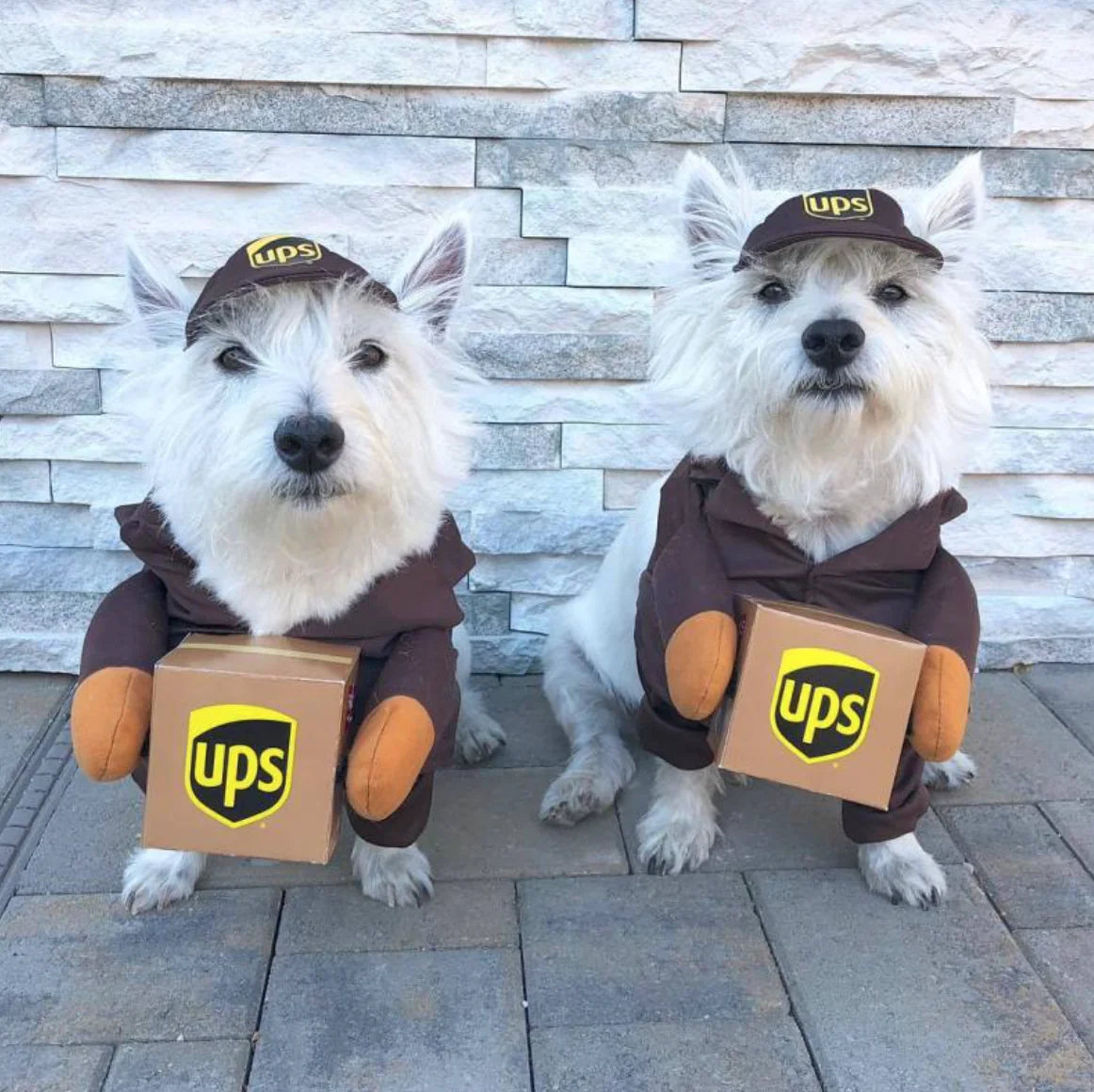 Delivery Man Pet Costume