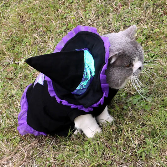 Magician Costume for Pets