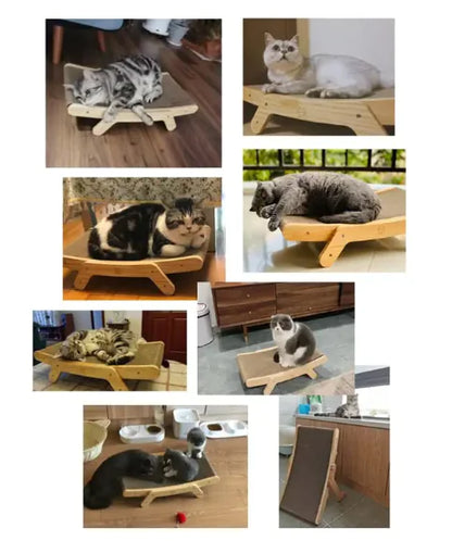 Cat bed and scratcher