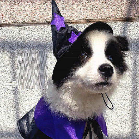 Satin Wizard Pet Costume