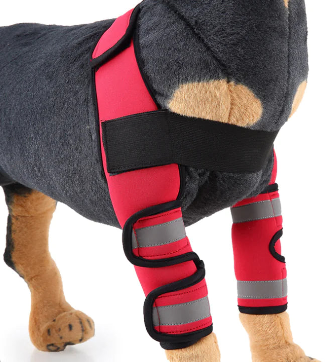 Comfortable and adjustable canine splint for pets